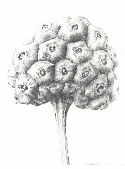 scan_shedubii1_2022-05-26-13-12-13_4.jpeg