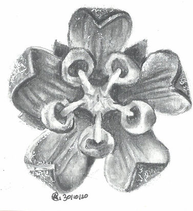 scan_shedubii1_2022-06-15-13-39-34_2.jpeg