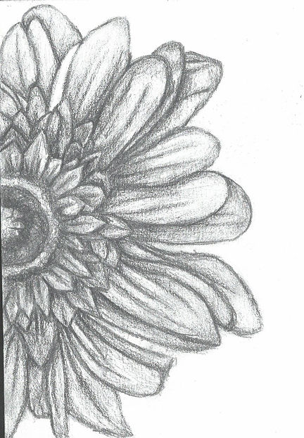 scan_shedubii1_2022-06-27-15-01-39_3.jpeg