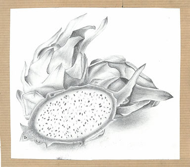 scan_shedubii1_2022-05-25-14-28-19_3.jpeg