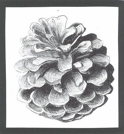 scan_shedubii1_2022-07-06-11-52-58_3.jpeg