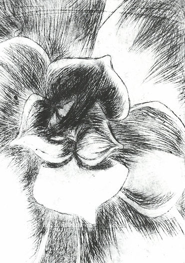 scan_shedubii1_2022-06-27-14-35-57_7.jpeg