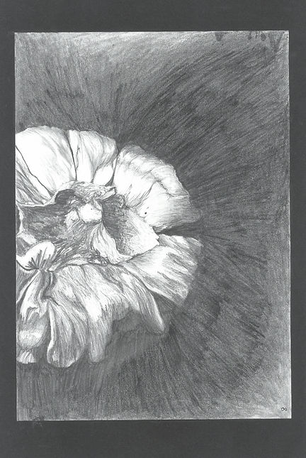 scan_shedubii1_2022-06-16-14-03-22_3.jpeg