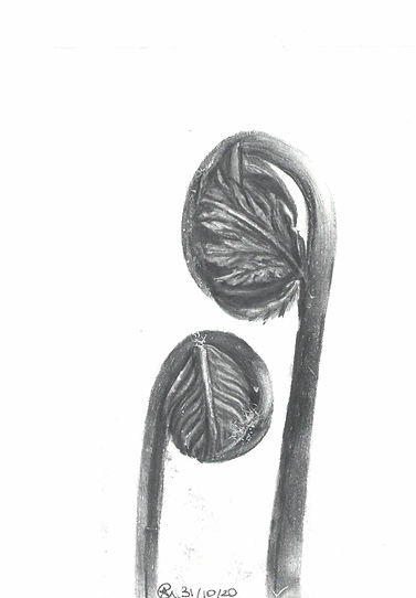 scan_shedubii1_2022-06-15-13-39-34_3.jpeg