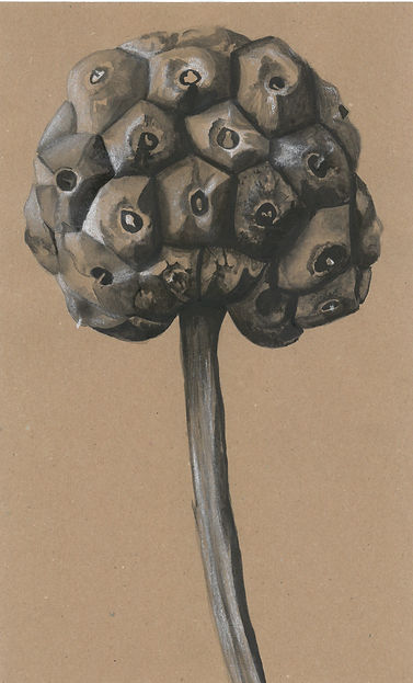 scan_shedubii1_2022-06-15-13-39-34_5.jpeg