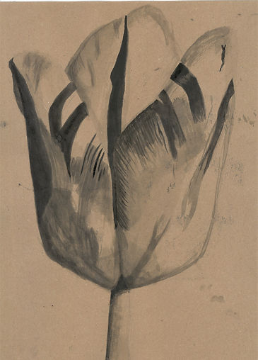 scan_shedubii1_2022-05-25-14-01-18_5.jpeg