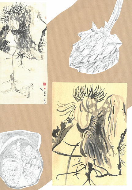 scan_shedubii1_2022-06-17-10-39-05_2.jpeg