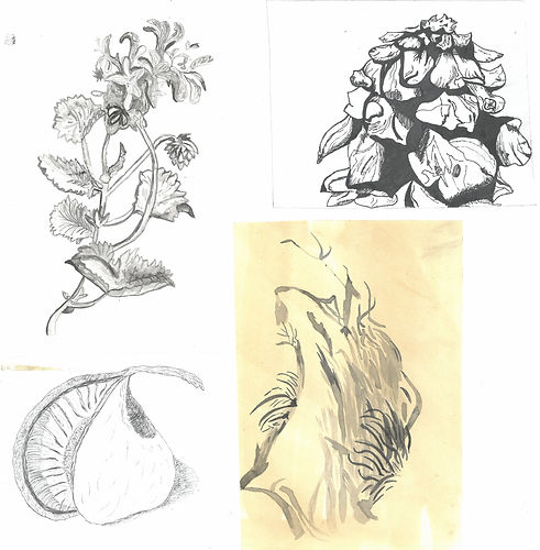 scan_shedubii1_2022-05-25-14-14-42_3.jpeg