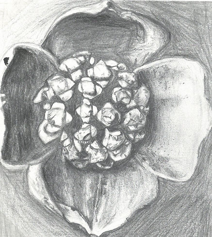 scan_shedubii1_2022-06-27-15-01-39_4.jpeg