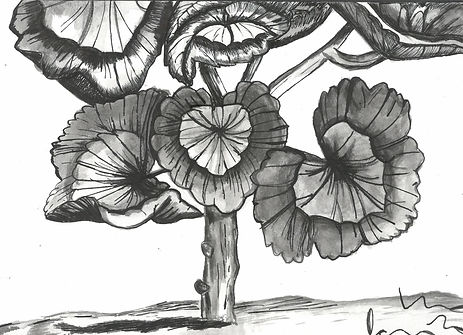 scan_shedubii1_2022-06-09-12-58-32_2.jpeg