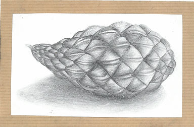 drawing 1.jpeg