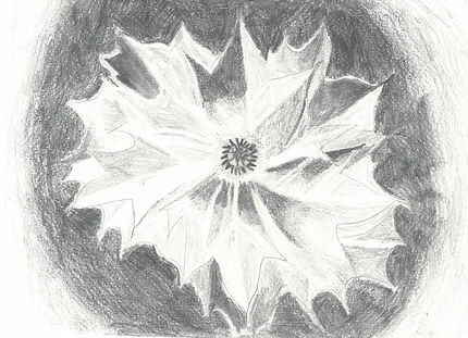 scan_shedubii1_2022-06-15-11-56-29_2.jpeg