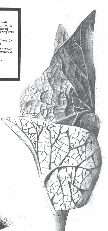 scan_shedubii1_2022-06-24-14-33-57_5.jpeg