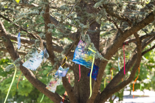 picture of children's wishes on the wishing tree