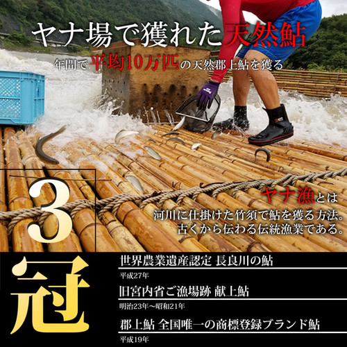 NO.11 名物鮎三昧 | 天然鮎みやちか【公式】