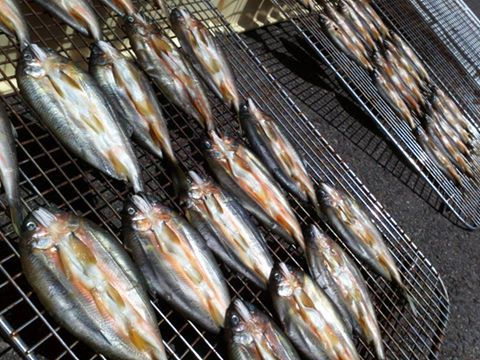 サムネイル： 天然鮎一夜干し(1匹)800円税別