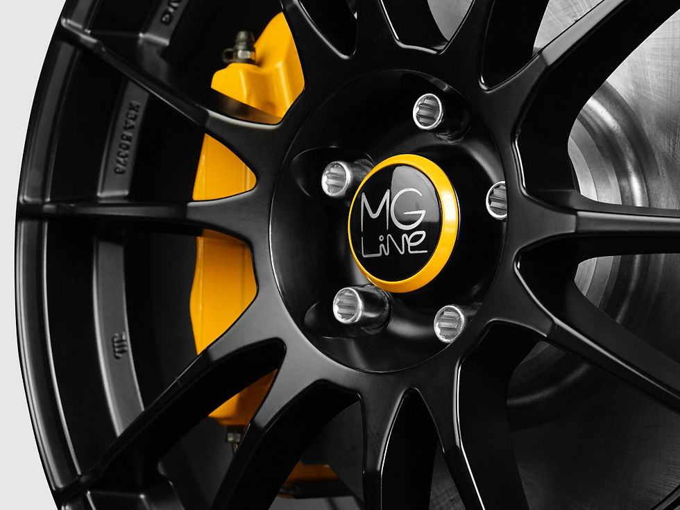 Miniaturbild: Floating Center Caps for OZ Racing (M595)