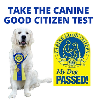 Is+your+dog+ready+(1).png