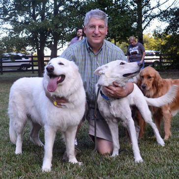 helping shepherds of every color german shepherd dog animal rescue group