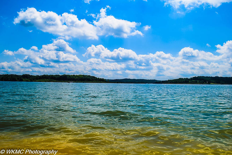 DSC_0516