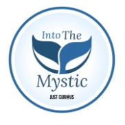 Mystic Film Festival