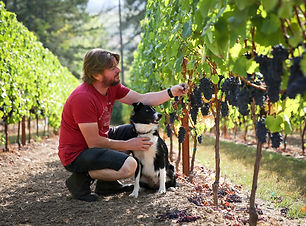 Winery I.jpg