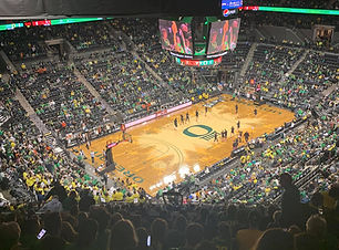 Matthew Knight Arena V.jpg