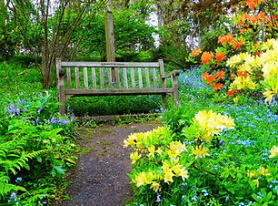 hendricks-park VI.jpg
