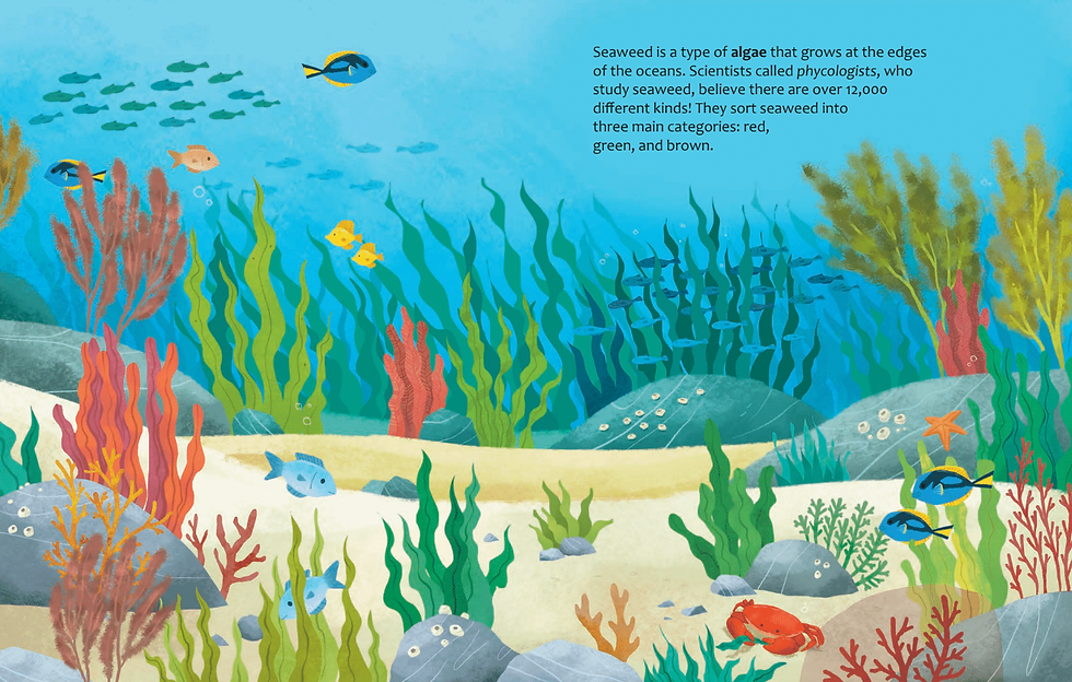 Screenshot 2025-11-13 at 11.38.20.png