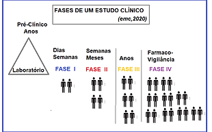 fases estudo clinico.png