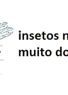 inseto_edited_edited.jpg