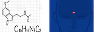 melatonina parte 1.png