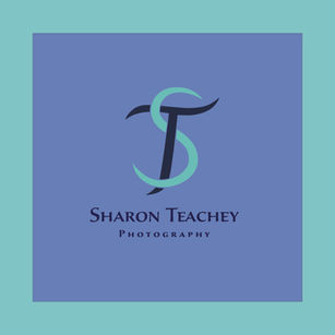 Yvette_Logo_Color_Change_Layers_Complete_02_09_18 copy.jpg