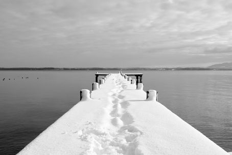 Get Motivated – Act Like A Polar Bear