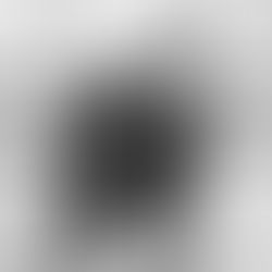 You said you were a blogger?