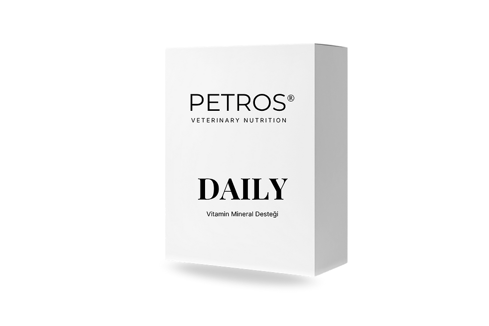 PETROS BLİSTER SON HAL (5).png
