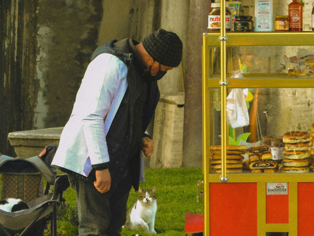 Kedi ve Köpeğime Ne Kadar Mama Vermeliyim?