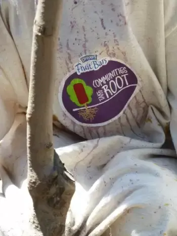 Wrangell orchard to be planted Saturday