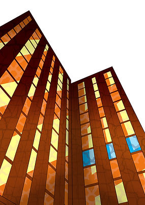 HIGH RISE ORANGE.jpg