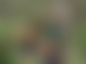 Progreso FC recibe a Tulum FC este fin de semana en la Liga TDP