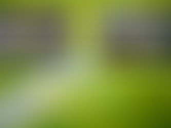Panteras y Galácticos disputan final de la Liga Colosio de Fútbol