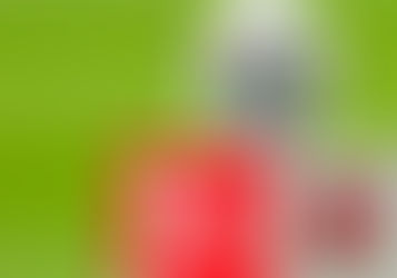 Bundesliga estudia planes para su regreso