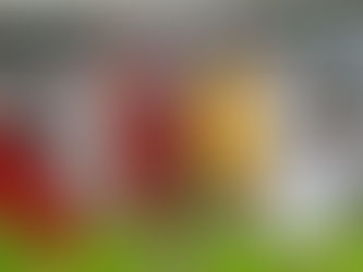 Fútbol ruso anuncia fecha de retorno