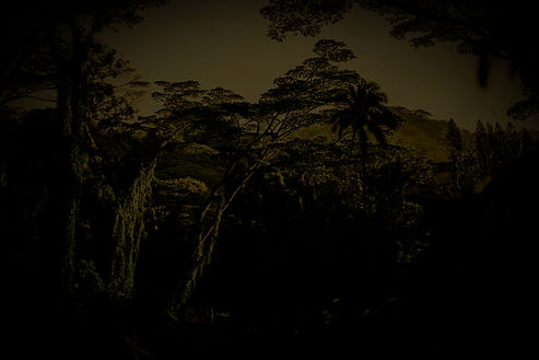 Beautiful Nature_edited_edited_edited_edited.jpg