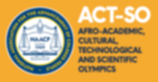 ACTSO_LOGO_2.png