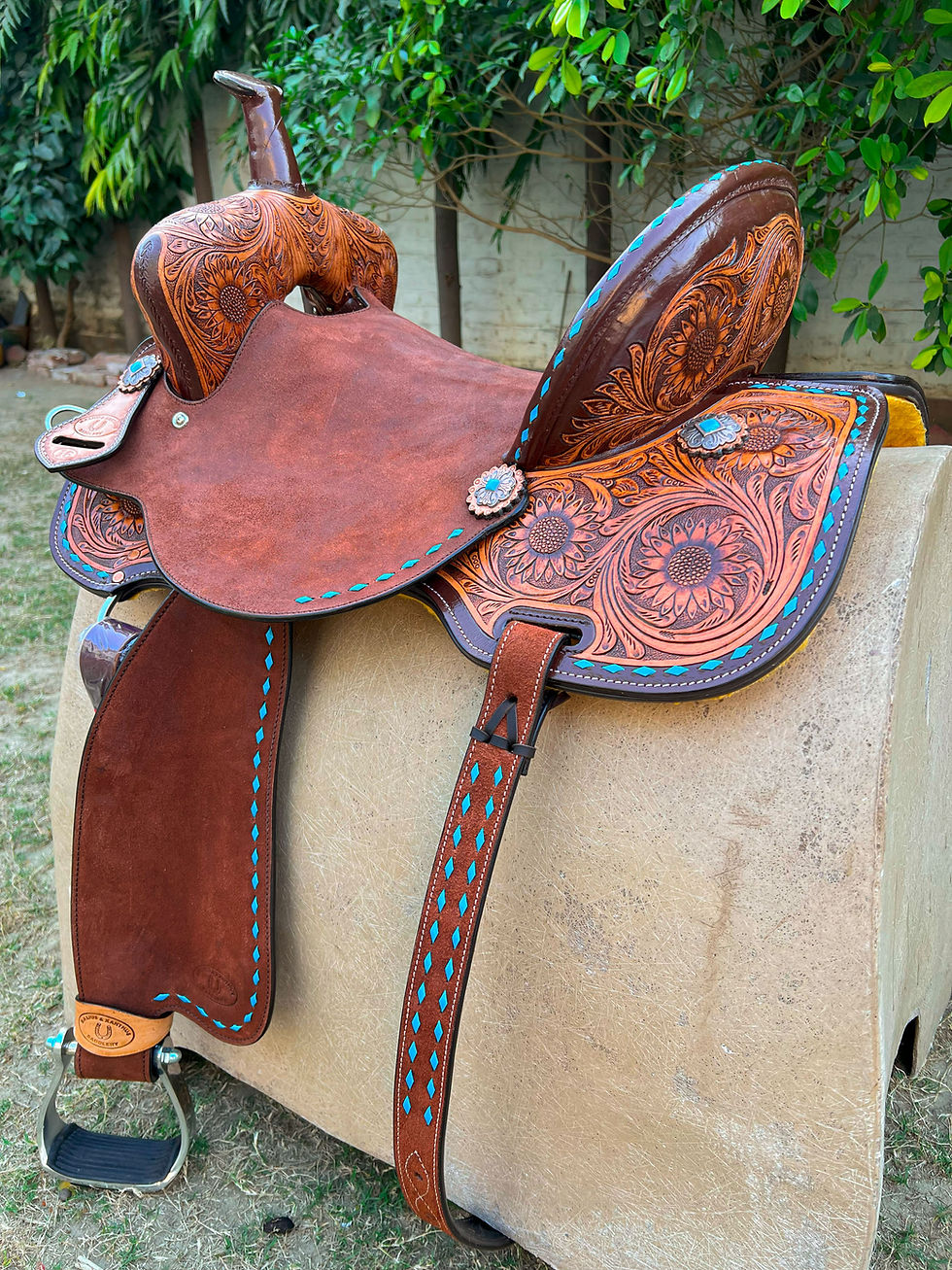 Miniatura: BXBR 4034 Barrel Racer Rear View