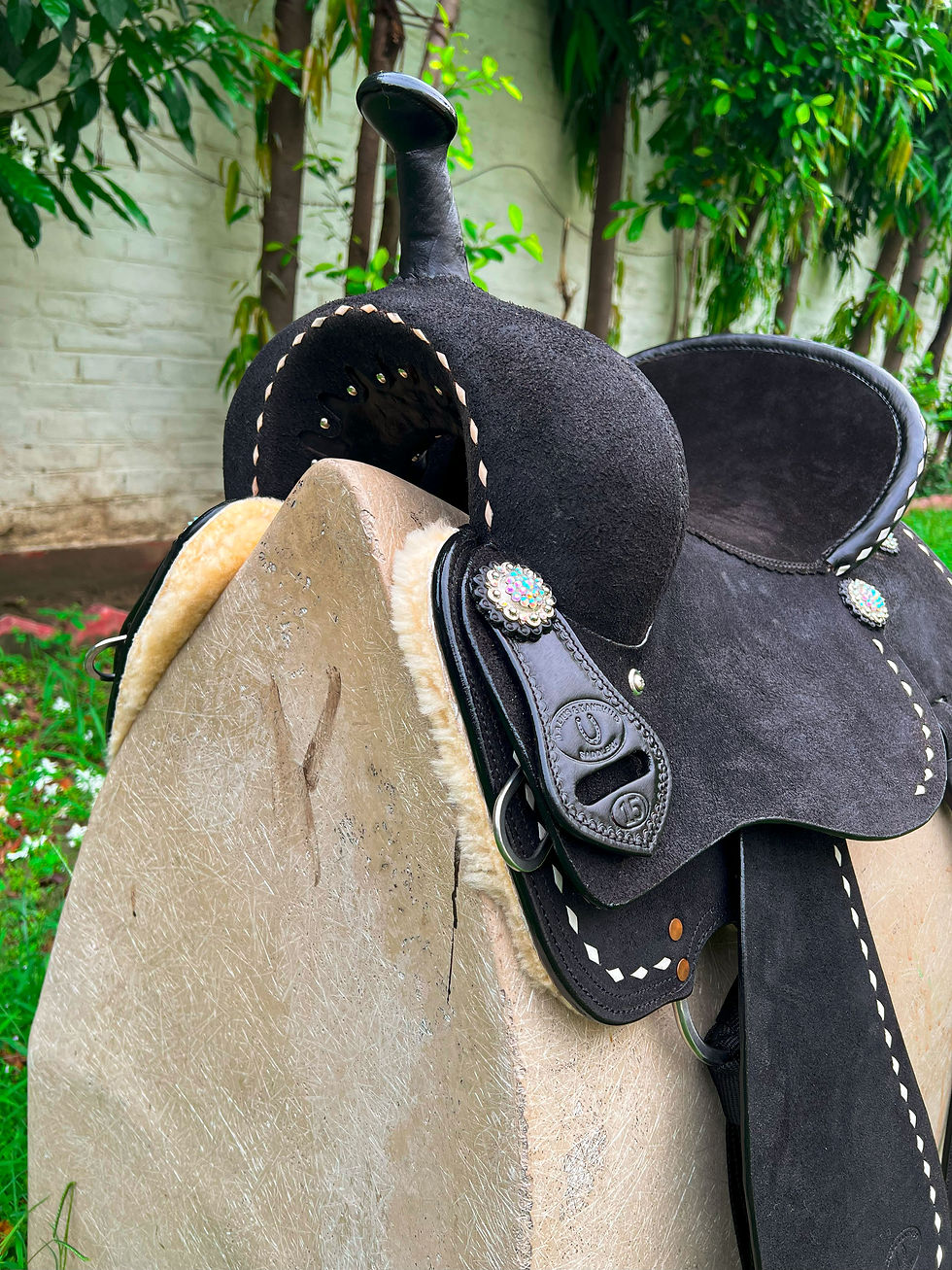 Miniatura: BXBR 4069 - Barrel Racer Pommel View