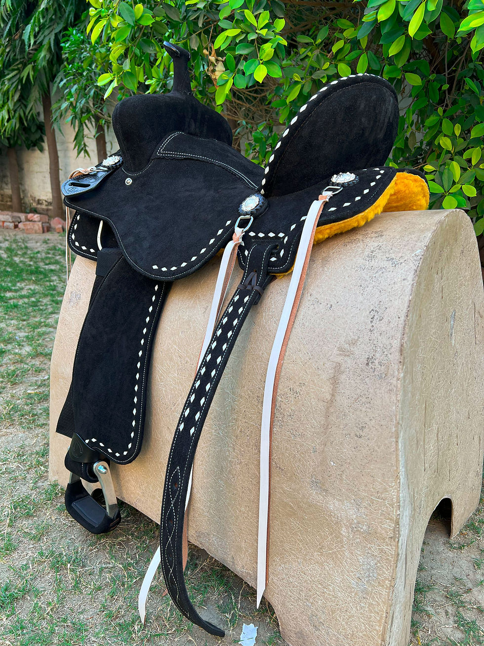 Thumbnail: BXBR 4049 - Barrel Racer Rear View