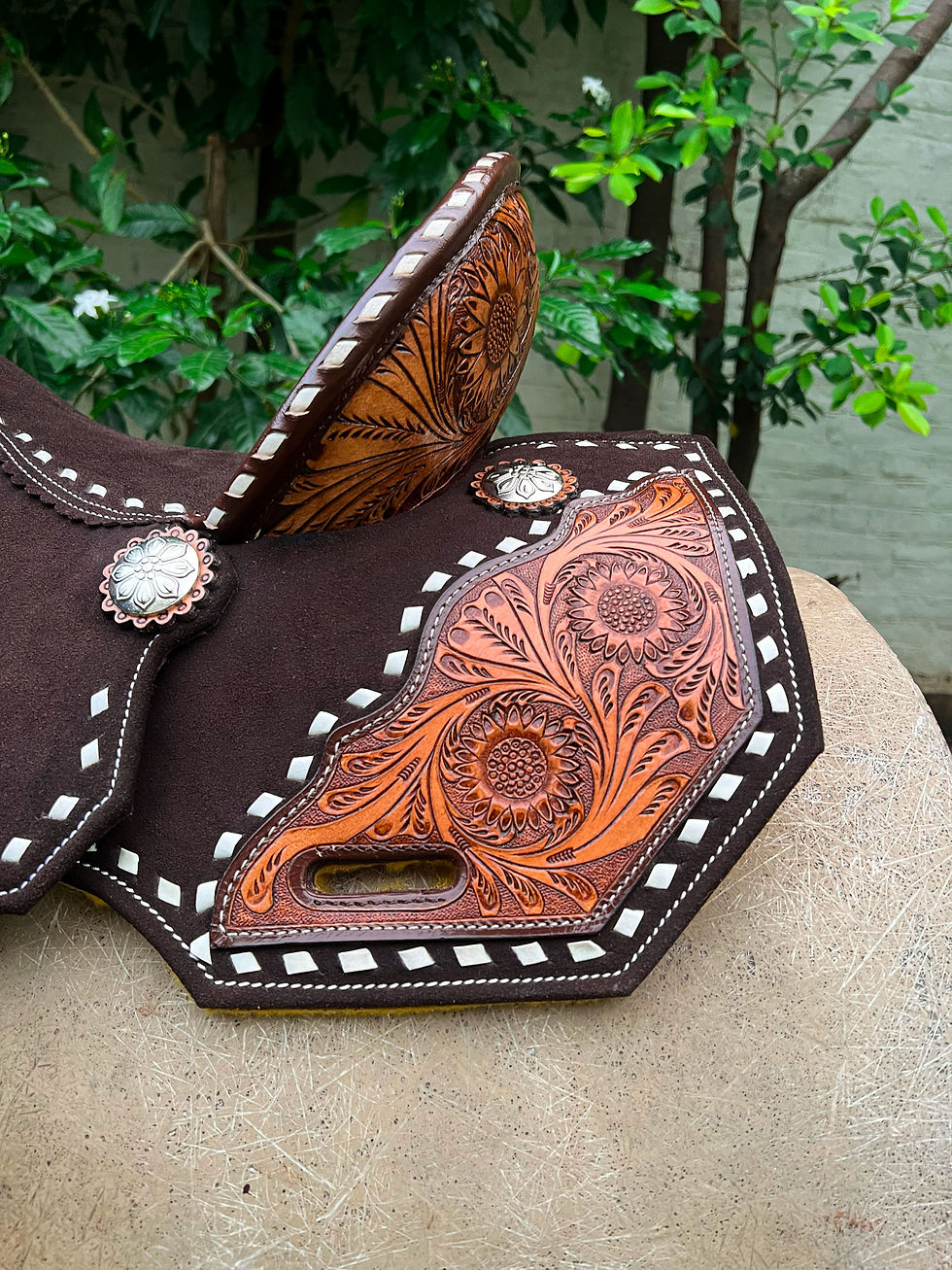 Miniaturbild: BXBR 4073 - Barrel Racer Skirt View