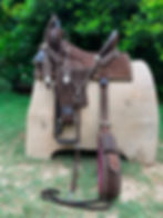 Thumbnail: BXBR 4061 - Barrel Racer Full View